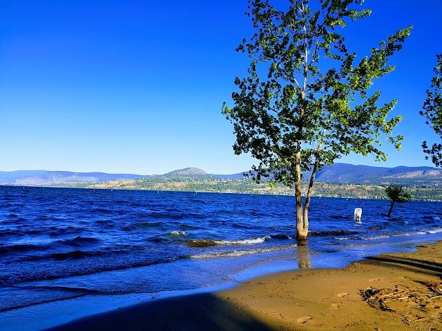 Boyce-Gyro Beach Park